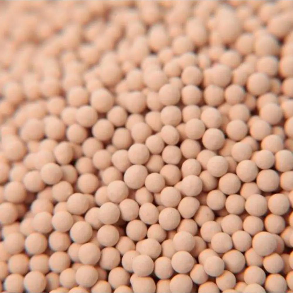 Paineira molecular ICETAR